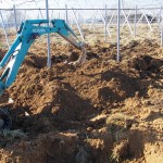 天空のピオーネ農園　ユンボ