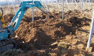 天空のピオーネ農園 ユンボ
