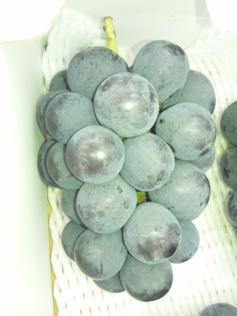 ピオーネ共進会