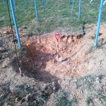 スコップで掘る