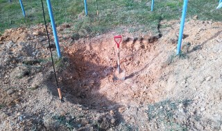 スコップで掘る