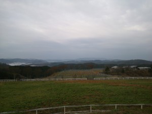 ピオーネ天空農園