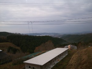 ピオーネ天空農園