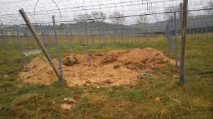 ピオーネ天空農園