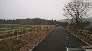 ピオーネ天空農園