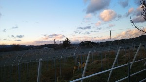 ピオーネ天空農園