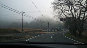 ピオーネ天空農園