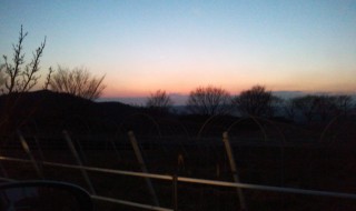 ピオーネ天空農園