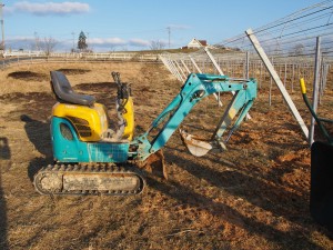 天空のピオーネ農園アグリスジャパン
