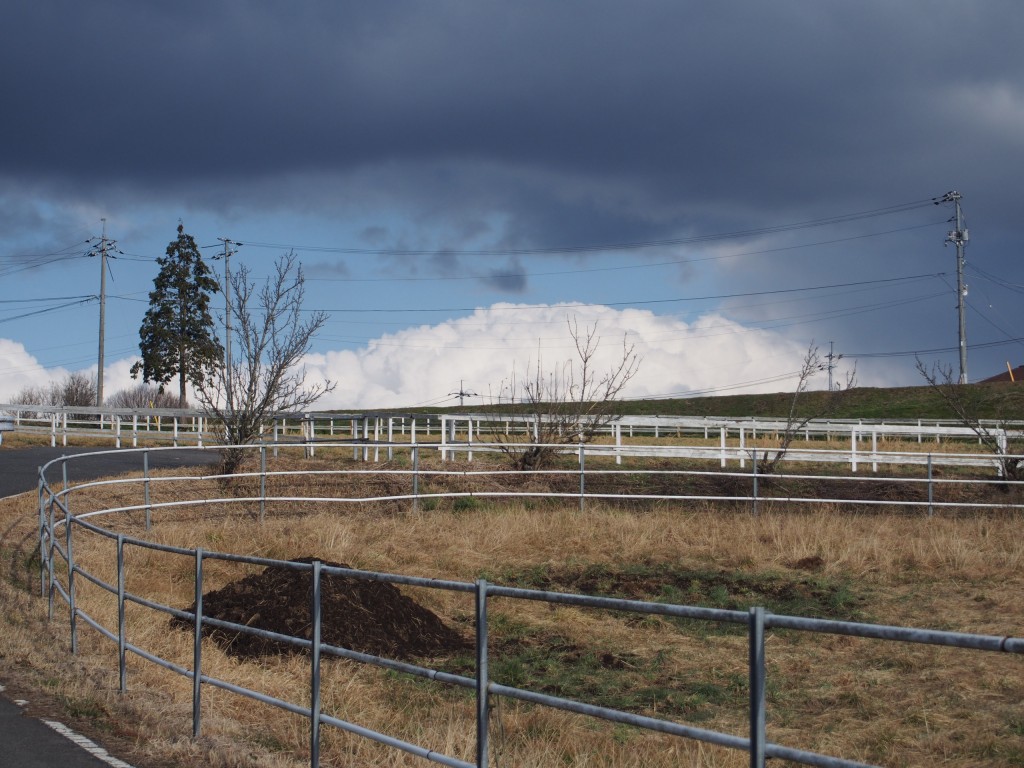 天空のピオーネ農園アグリスジャパン