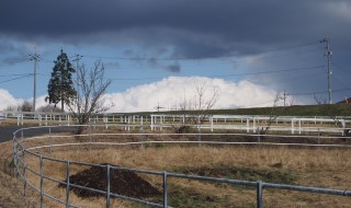 天空のピオーネ農園アグリスジャパン