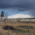 天空のピオーネ農園アグリスジャパン