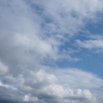 天空のピオーネ農園アグリスジャパン