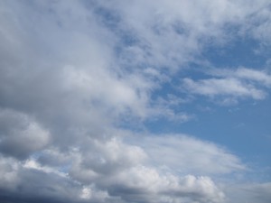 天空のピオーネ農園アグリスジャパン