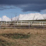天空のピオーネ農園アグリスジャパン