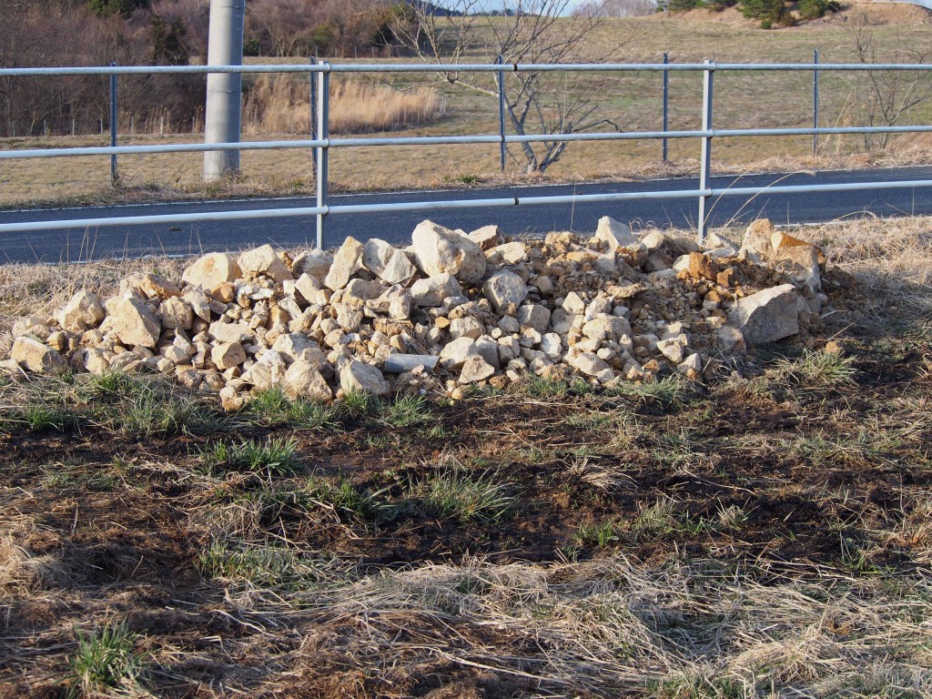 天空のピオーネ農園アグリスジャパン