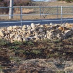 天空のピオーネ農園アグリスジャパン