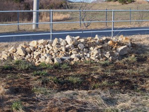 天空のピオーネ農園アグリスジャパン