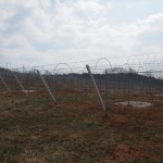 天空のピオーネ農園アグリスジャパン