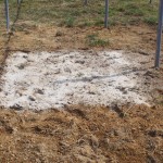 ｐ天空のピオーネ農園アグリスジャパン