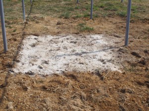 ｐ天空のピオーネ農園アグリスジャパン