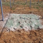 天空のピオーネ農園アグリスジャパン