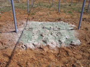 天空のピオーネ農園アグリスジャパン