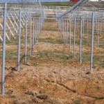 天空のピオーネ農園アグリスジャパン