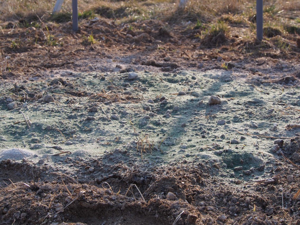 ピオーネ苗植穴肥料