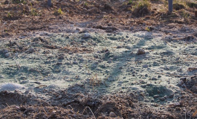 ピオーネ苗植穴肥料