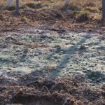 天空のピオーネ農園アグリスジャパン