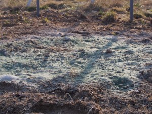天空のピオーネ農園アグリスジャパン