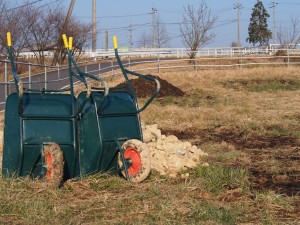 天空のピオーネ農園アグリスジャパン