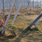 天空のピオーネ農園アグリスジャパン