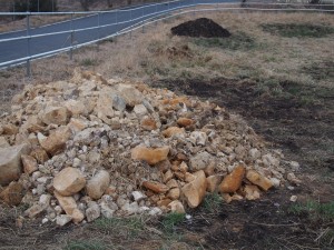 天空のピオーネ農園アグリスジャパン