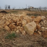 天空のピオーネ農園アグリスジャパン