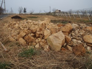 天空のピオーネ農園アグリスジャパン