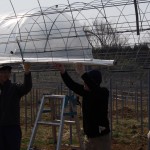 天空のピオーネ農園アグリスジャパン