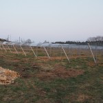 天空のピオーネ農園アグリスジャパン