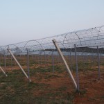 天空のピオーネ農園アグリスジャパン