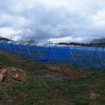 天空のピオーネ農園防風ネット