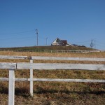 天空のピオーネ農園アグリスジャパン