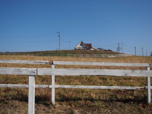 天空のピオーネ農園アグリスジャパン
