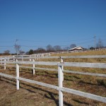 天空のピオーネ農園アグリスジャパン