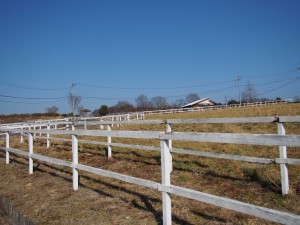 天空のピオーネ農園アグリスジャパン