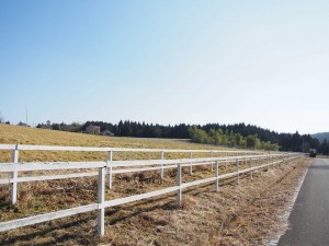 天空のピオーネ農園アグリスジャパン