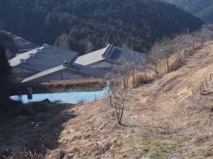 天空のピオーネ農園アグリスジャパン