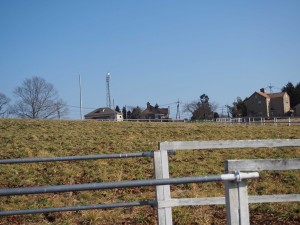 天空のピオーネ農園アグリスジャパン