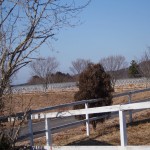 天空のピオーネ農園アグリスジャパン
