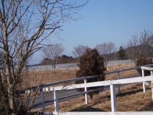 天空のピオーネ農園アグリスジャパン